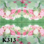 K313[1].jpg